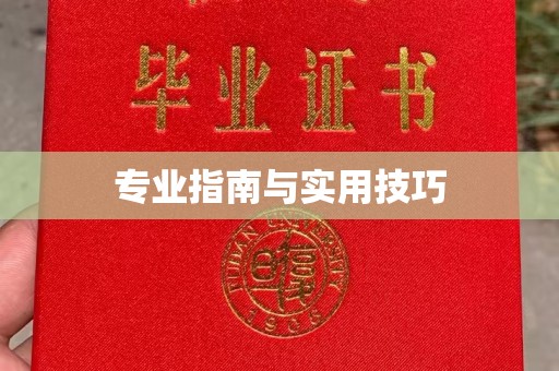 韶关专业指南与实用技巧